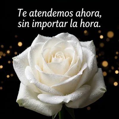 Atención 24 horas - Florería Miguel Flores